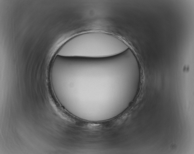 X0000110950055200906191125