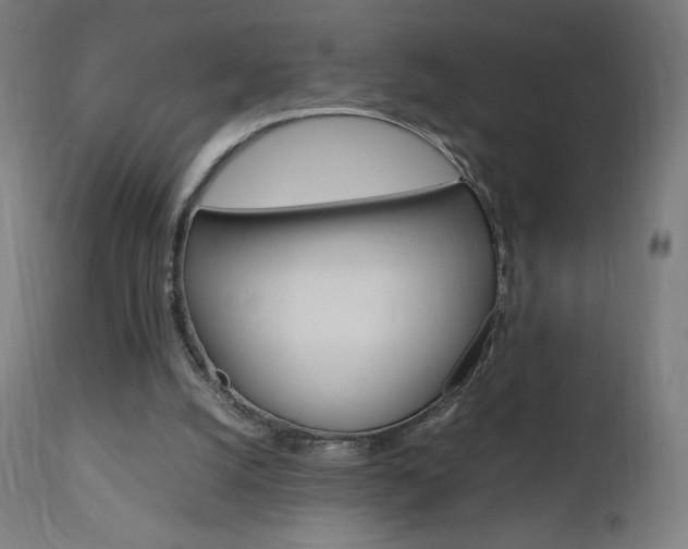 X0000110950056200906191125