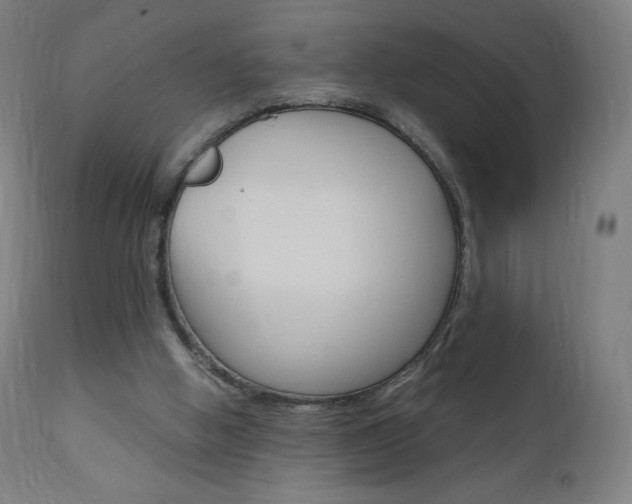 X0000110950058200906191125