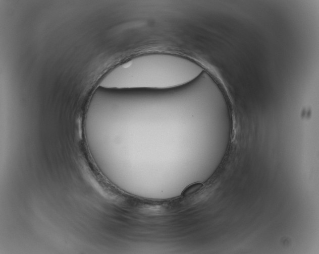 X0000110950061200906191125