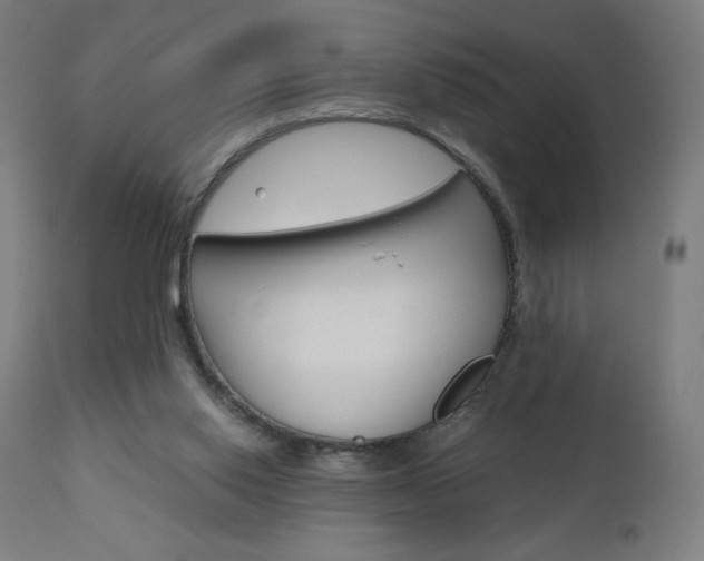 X0000110950062200906191125