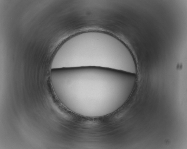 X0000110950063200906191125