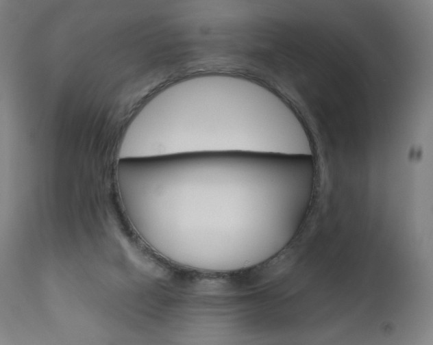 X0000110950066200906191125