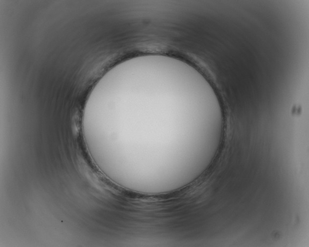 X0000110950069200906191125