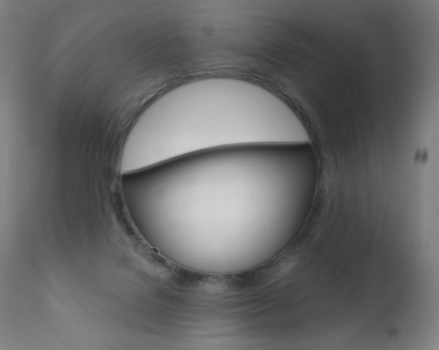 X0000110950076200906191125