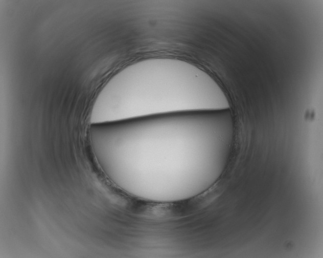 X0000110950078200906191125