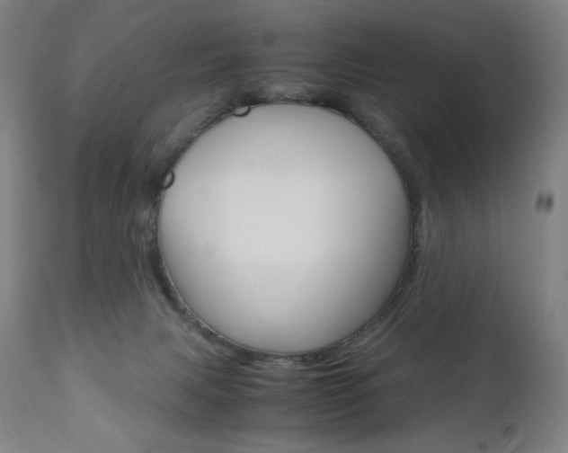 X0000110950079200906191125