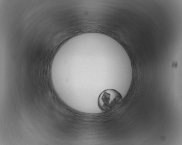 X0000110950080200906191125