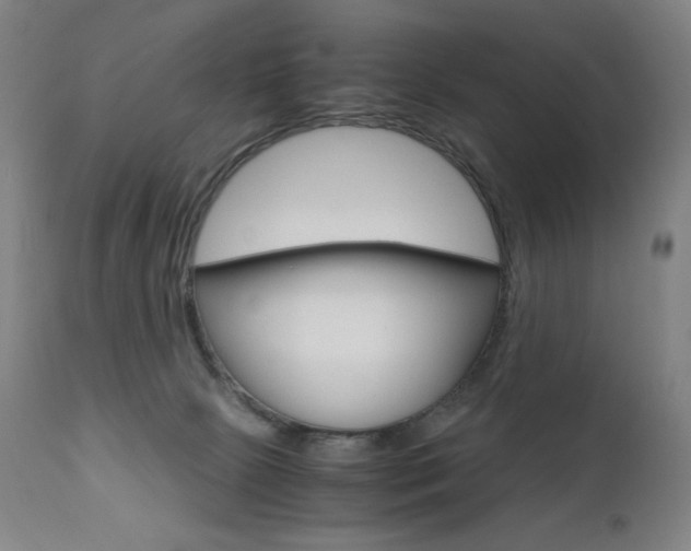 X0000110950081200906191125