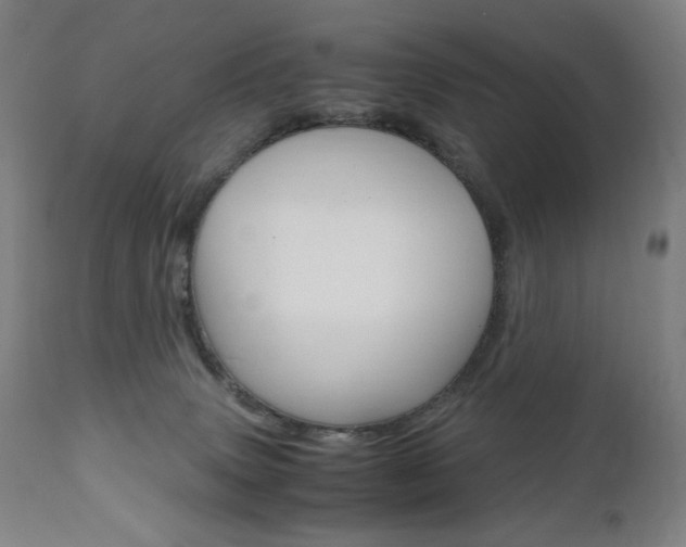 X0000110950083200906191125