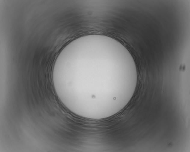 X0000110950084200906191125