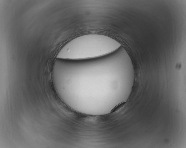 X0000110950086200906191125