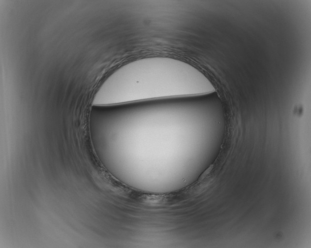 X0000110950088200906191125