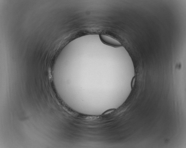 X0000110950089200906191125