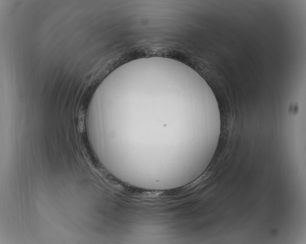 X0000110950090200906191125