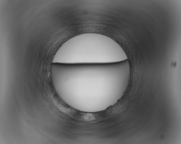 X0000110950091200906191125