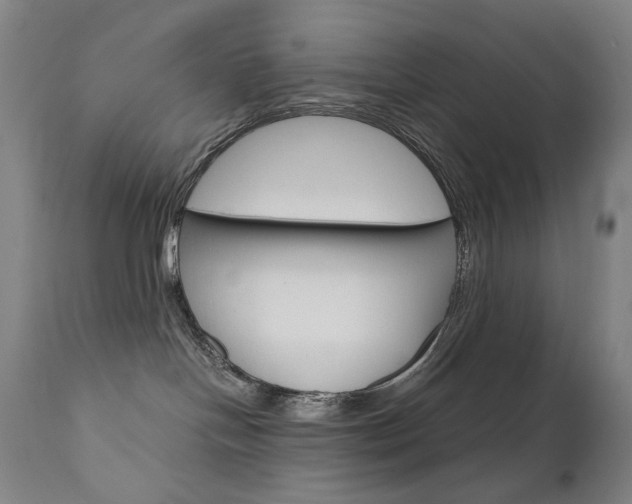 X0000110950094200906191125