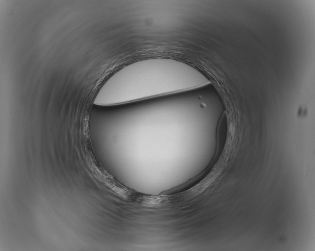 X0000110950096200906191125