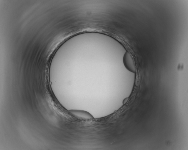 X0000110950098200906191125