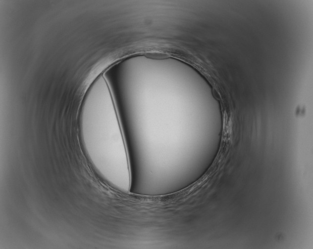 X0000110950099200906191124