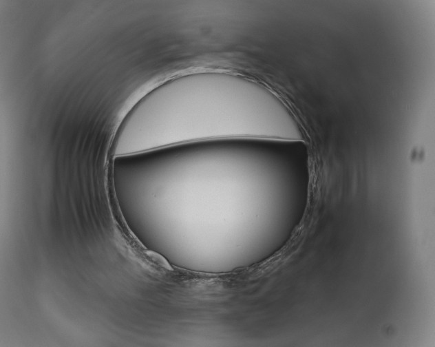 X0000110950100200906191124