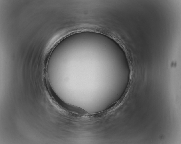 X0000110950101200906191124
