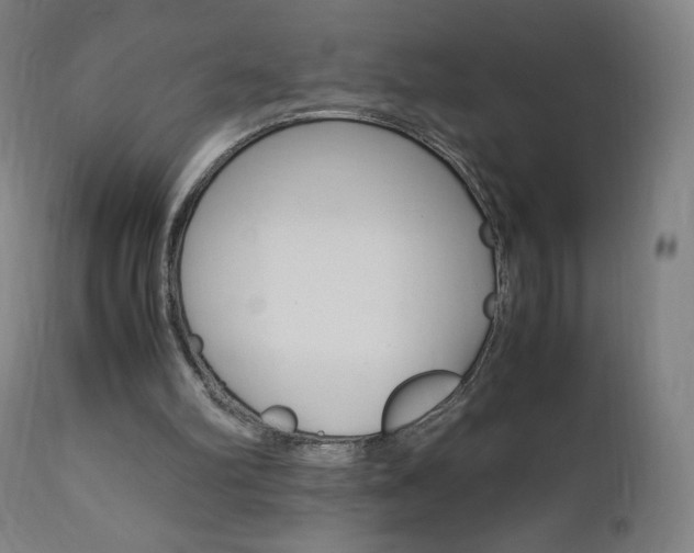 X0000110950102200906191124