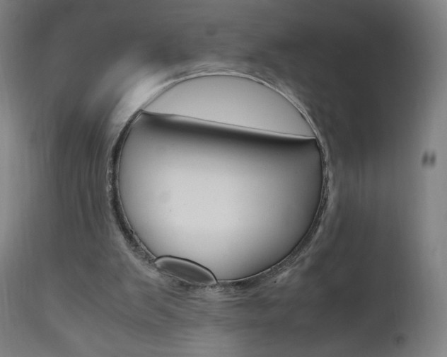 X0000110950103200906191124