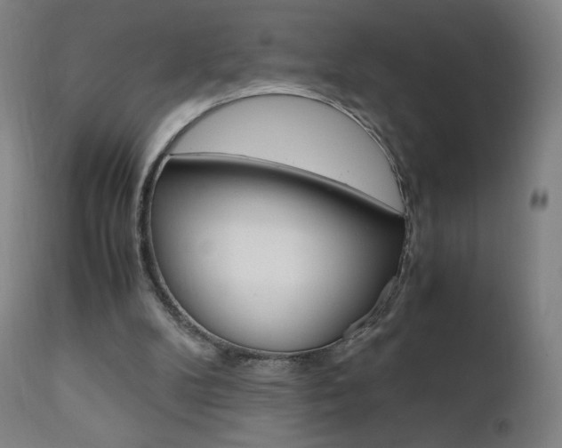 X0000110950104200906191124