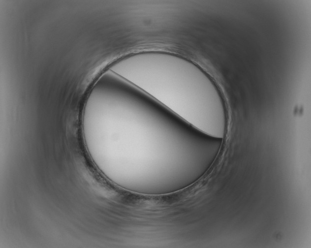 X0000110950107200906191124