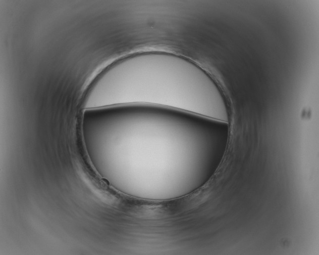 X0000110950108200906191124