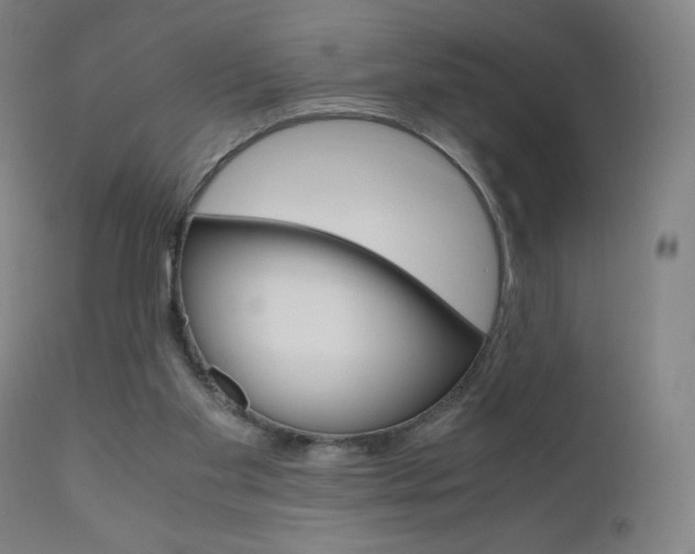 X0000110950109200906191124