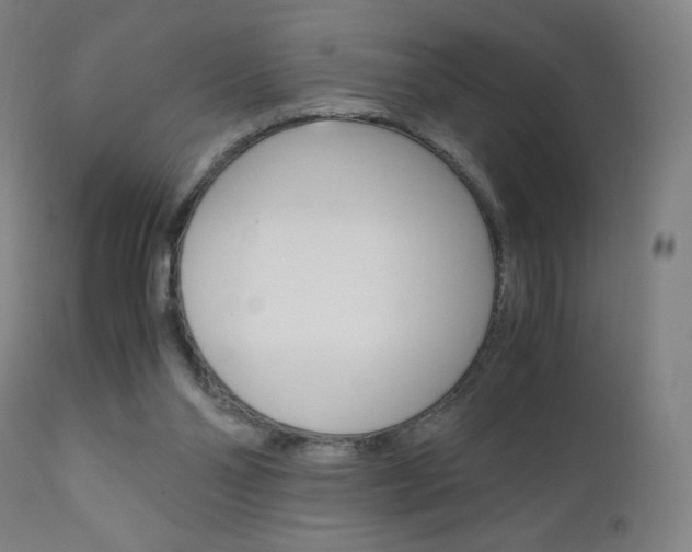 X0000110950110200906191124