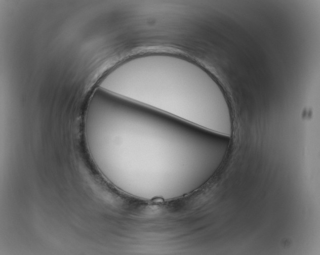 X0000110950111200906191124