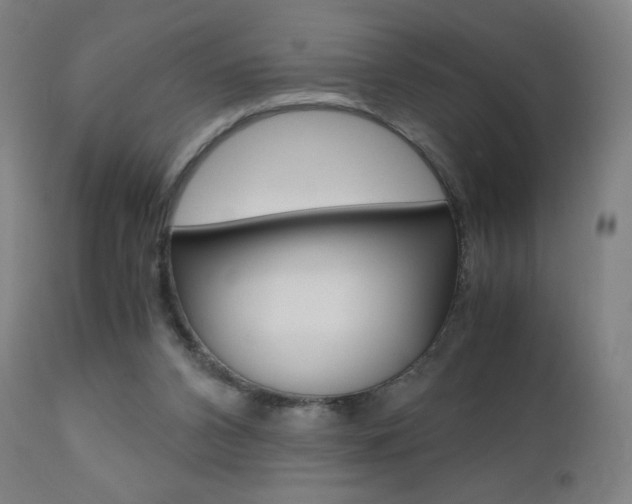 X0000110950112200906191124
