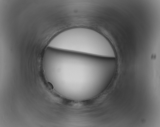 X0000110950113200906191124