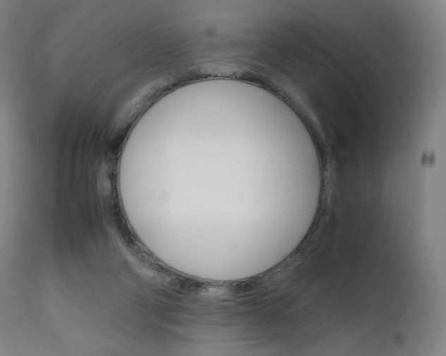 X0000110950114200906191124