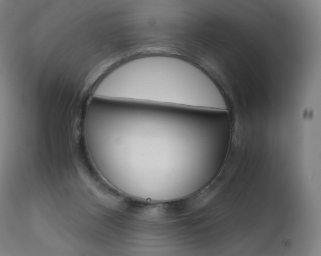 X0000110950116200906191124