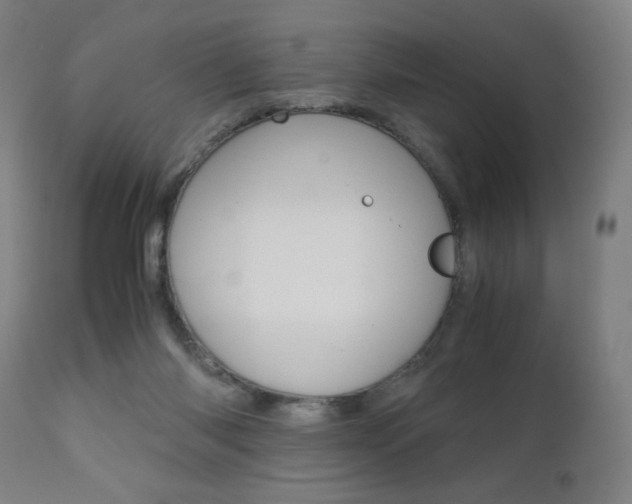 X0000110950118200906191124