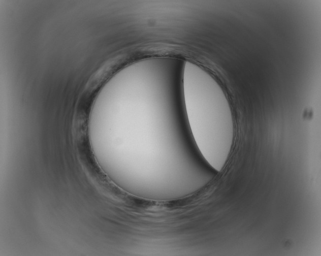 X0000110950119200906191124
