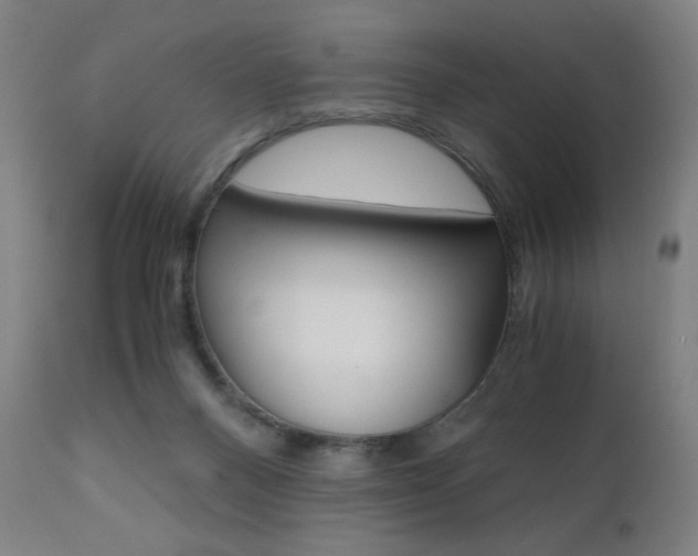 X0000110950120200906191124