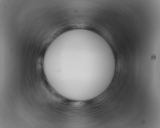 X0000110950122200906191124