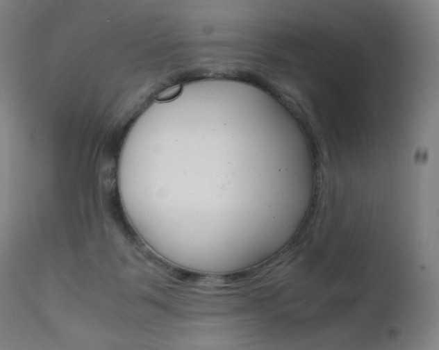 X0000110950123200906191124