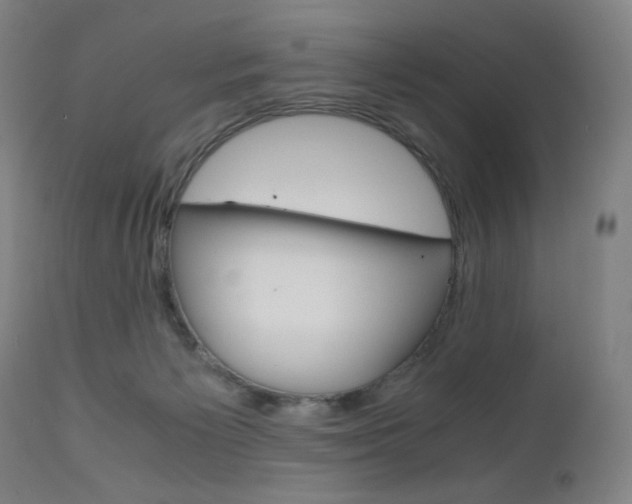 X0000110950125200906191124