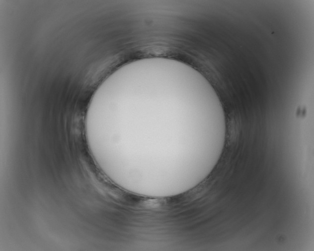 X0000110950126200906191124