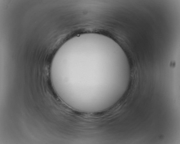 X0000110950127200906191124