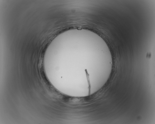 X0000110950129200906191124