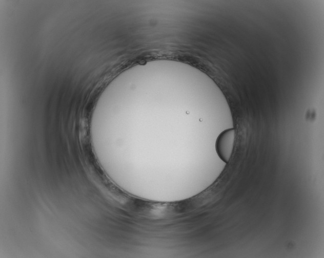 X0000110950130200906191124