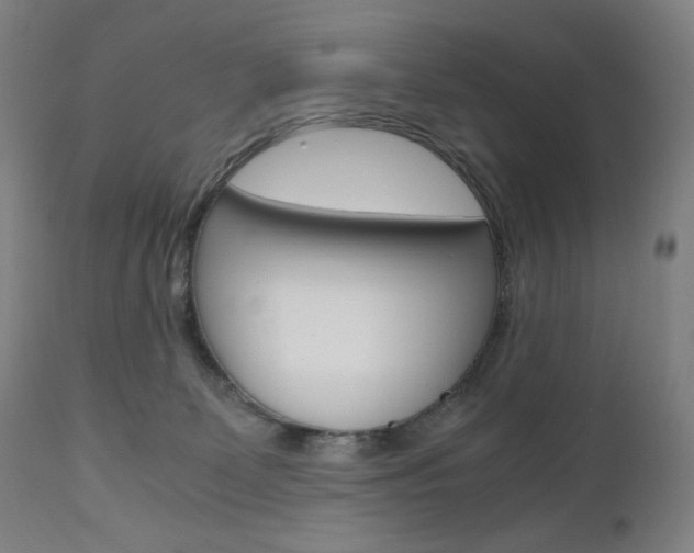 X0000110950131200906191124