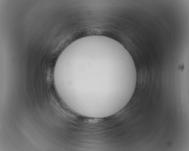 X0000110950134200906191124